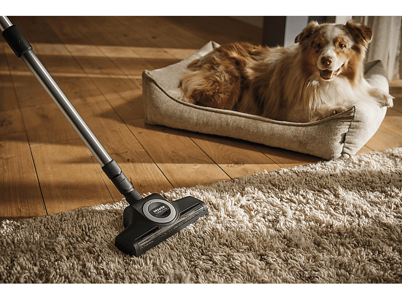 Miele Boost CX1 Blue Pulse Staubsauger (78 dB(A), maximale Leistung: 890 Watt, Obsidianschwarz) — Foto 2 von 5