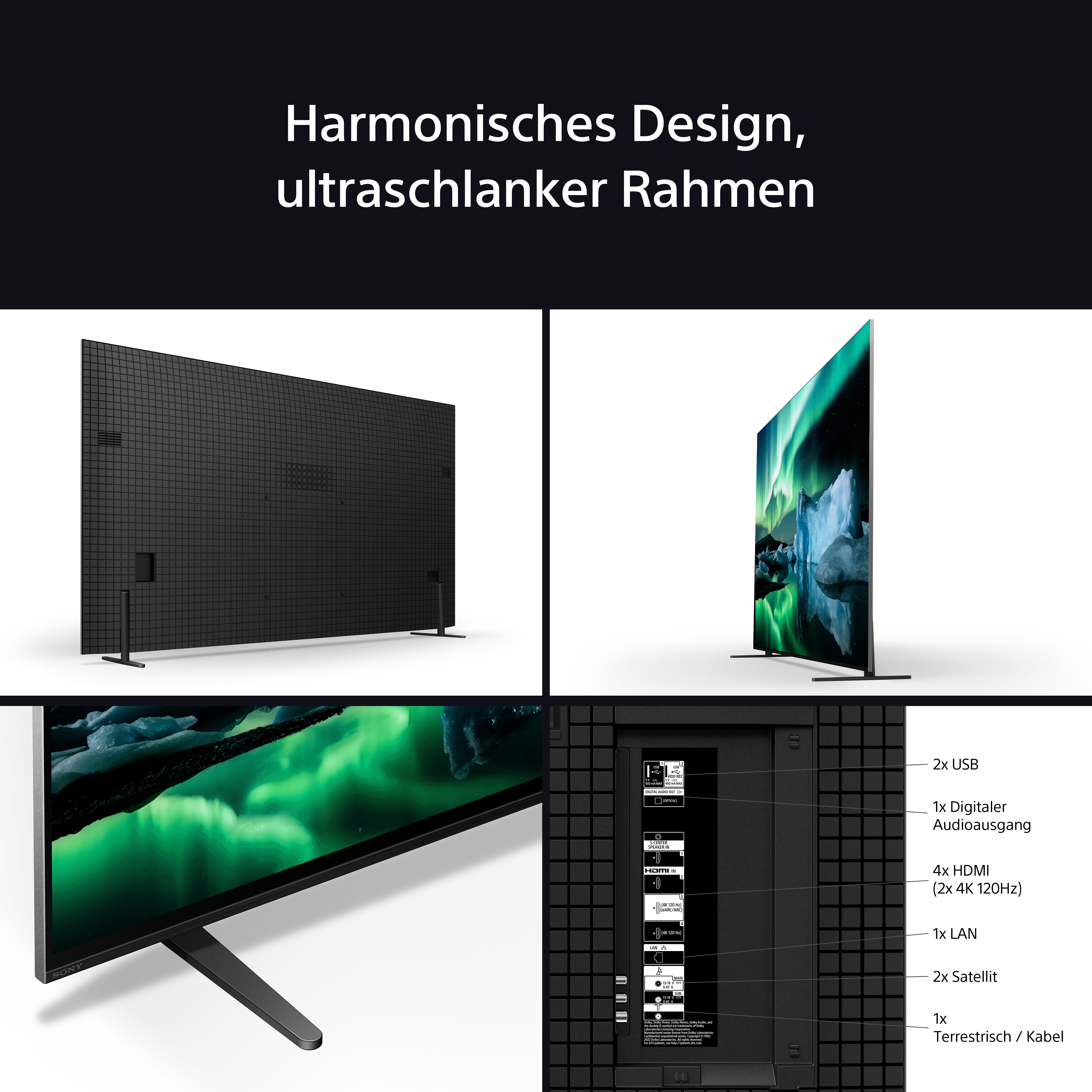 Das Bild zeigt einen schwarzen Fernseher mit einer gitterartigen Rückwand. Es wird eine Landschaftsszene angezeigt. Auf der Rückseite sind verschiedene Anschlüsse beschriftet.