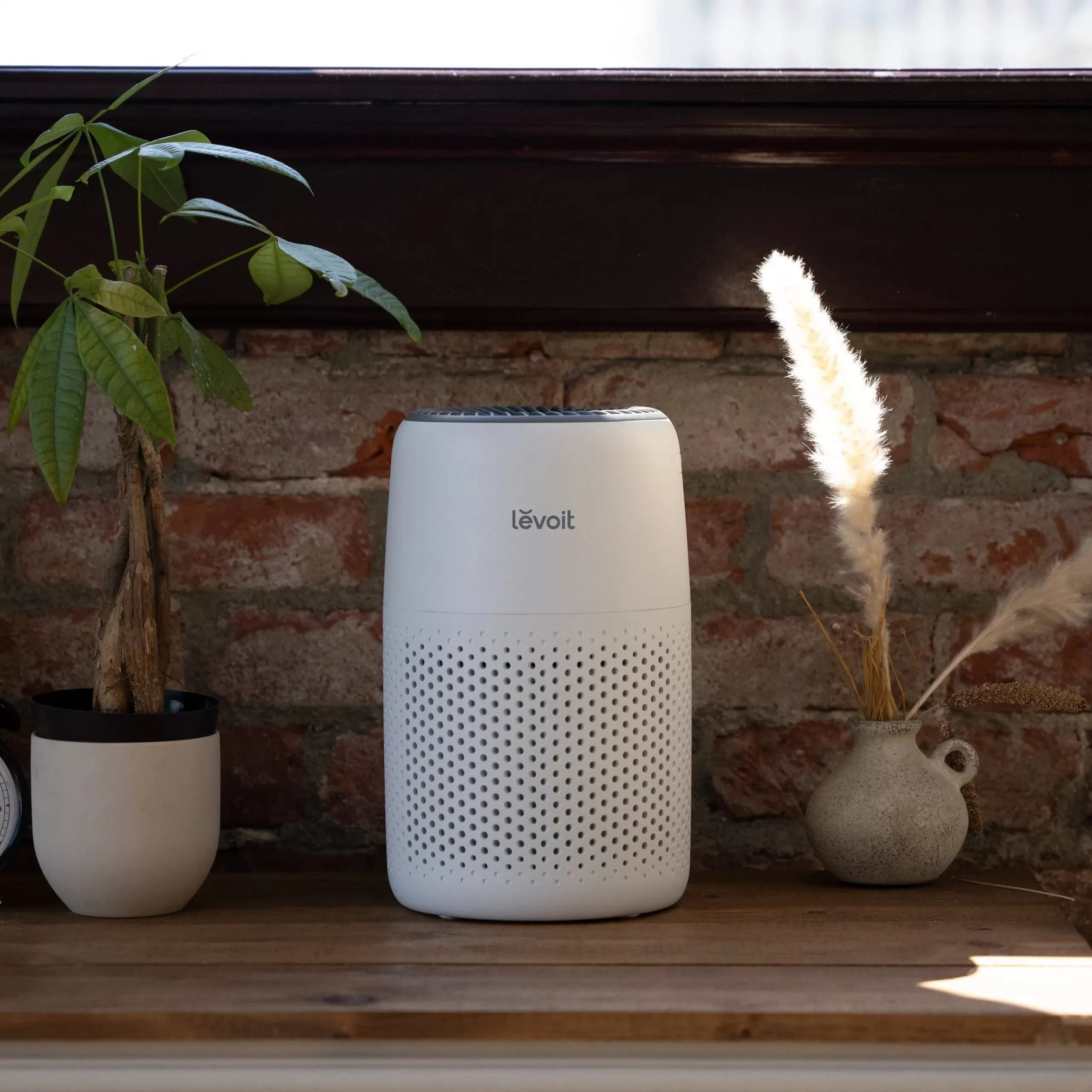 Biały oczyszczacz powietrza z marką 'Lévoit' stoi na drewnianej powierzchni, z roślinami i wazonem po obu stronach.