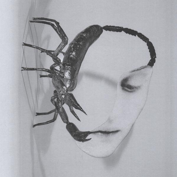 Surreales Bild. Eine skorpionartige Figur verschmilzt mit einem menschlichen Gesicht. Die Figur ist dunkel, das Gesicht ist heller vor schlichtem Hintergrund.