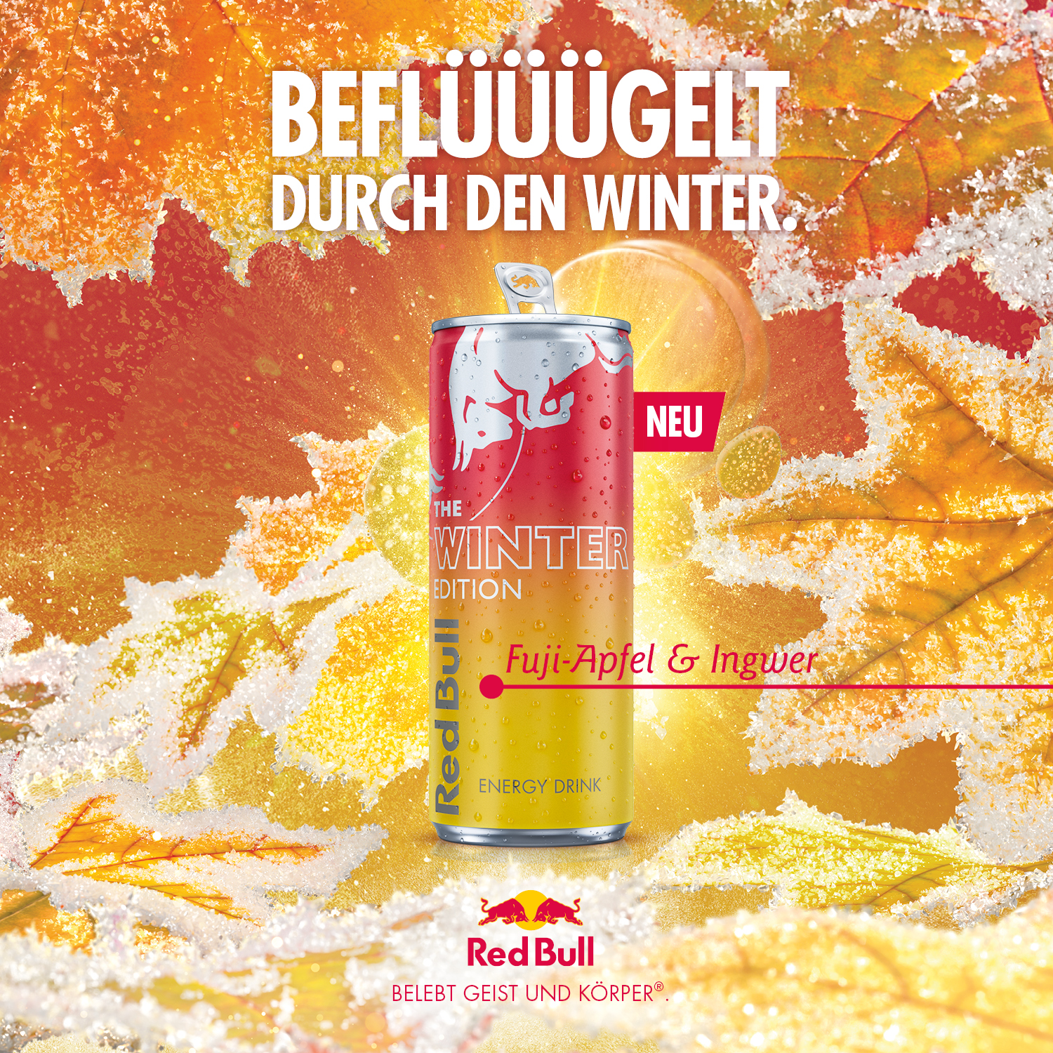 Red Bull Winter Edition Dose mit Fuji-Apfel & Ingwer vor Herbstblättern mit Schnee. Der Text lautet 'Beflügelt durch den Winter'.