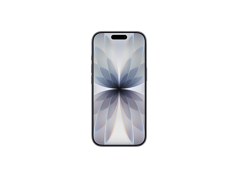 APPLE iPhone 17 256 GB Akıllı Telefon Siyah MG6J4TU/A Fiyat