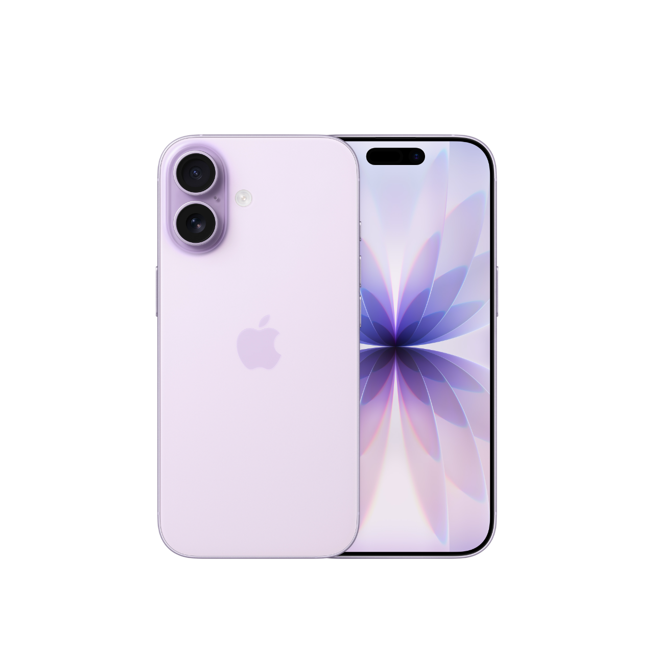 Resmin açıklaması yok