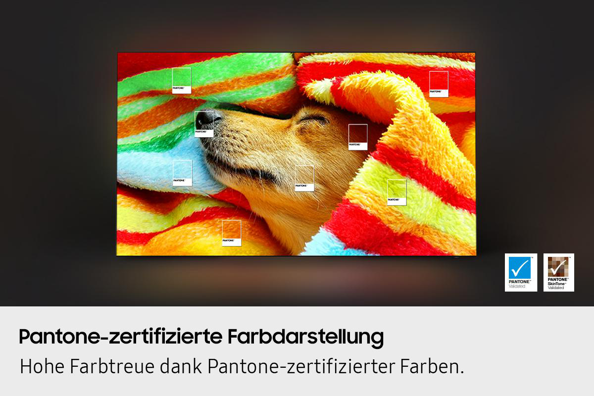 Ein Hund schläft unter einer bunten Decke auf einem Bildschirm. Pantone-Farbmuster sind überlagert. Text: Pantone-zertifizierte Farbdarstellung.