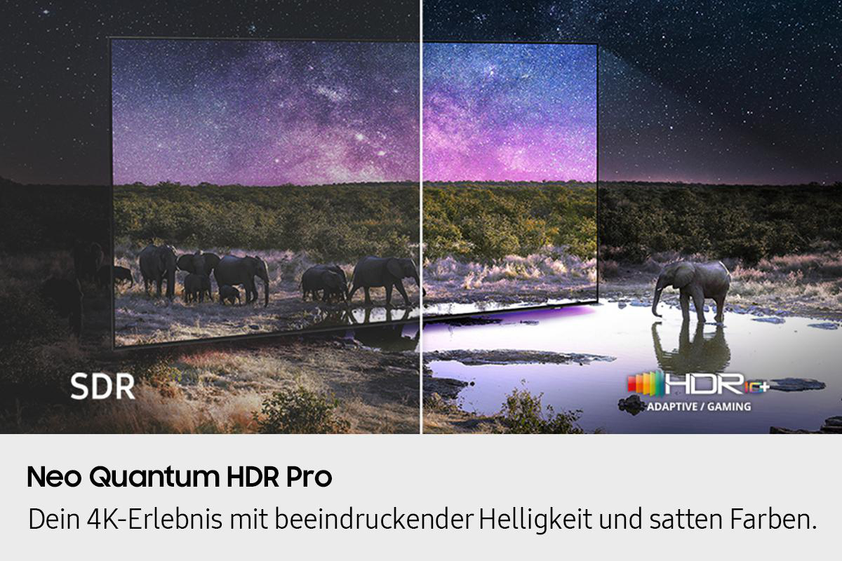 Das Bild zeigt einen Sternenhimmel über einer Elefantenherde und einem Elefanten im Wasser. HDR und SDR werden angezeigt. Text: Neo Quantum HDR Pro.
