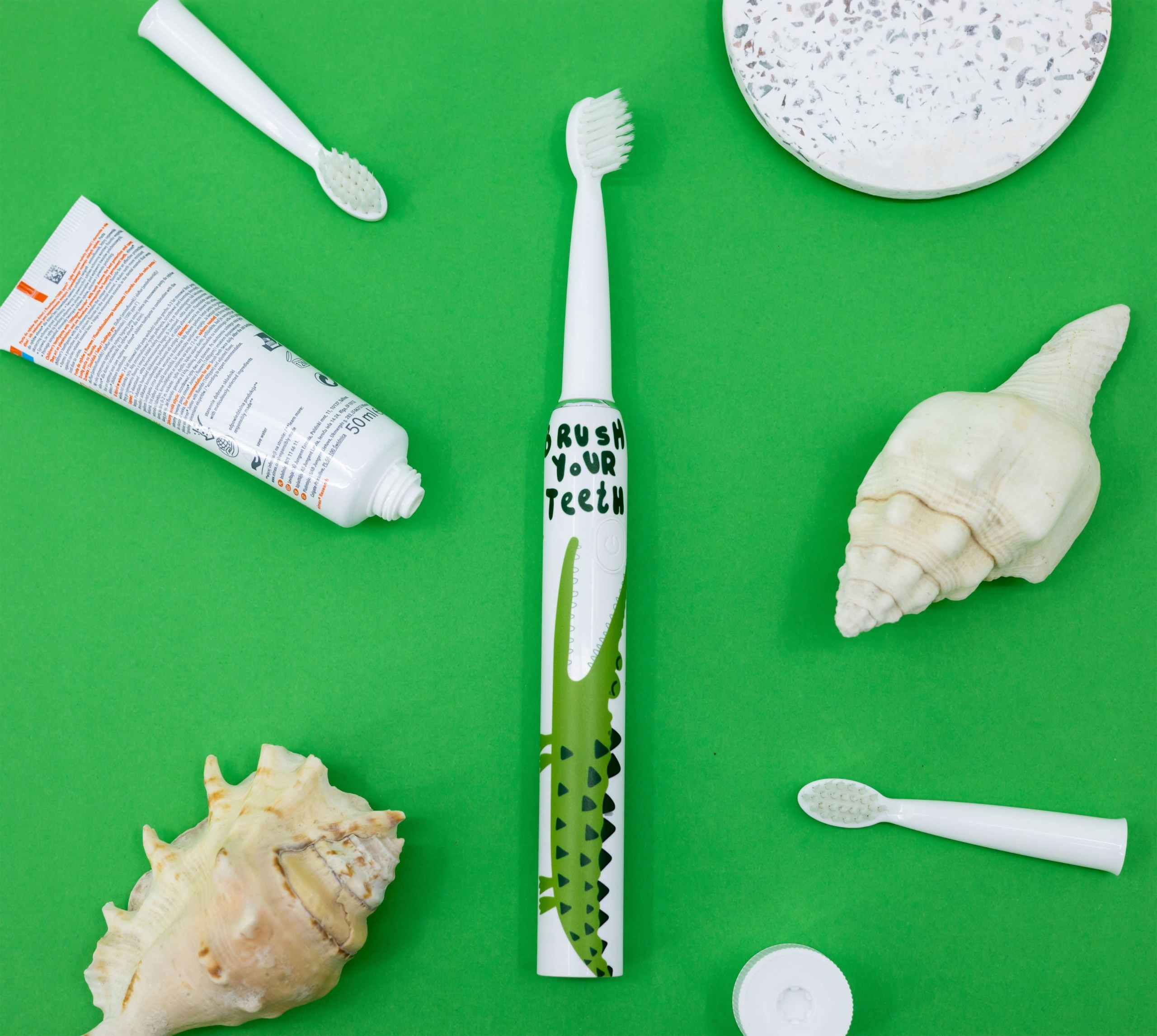 Zielona powierzchnia ze szczoteczką do zębów, pastą do zębów, muszlami i szczoteczką ze wzorem krokodyla.