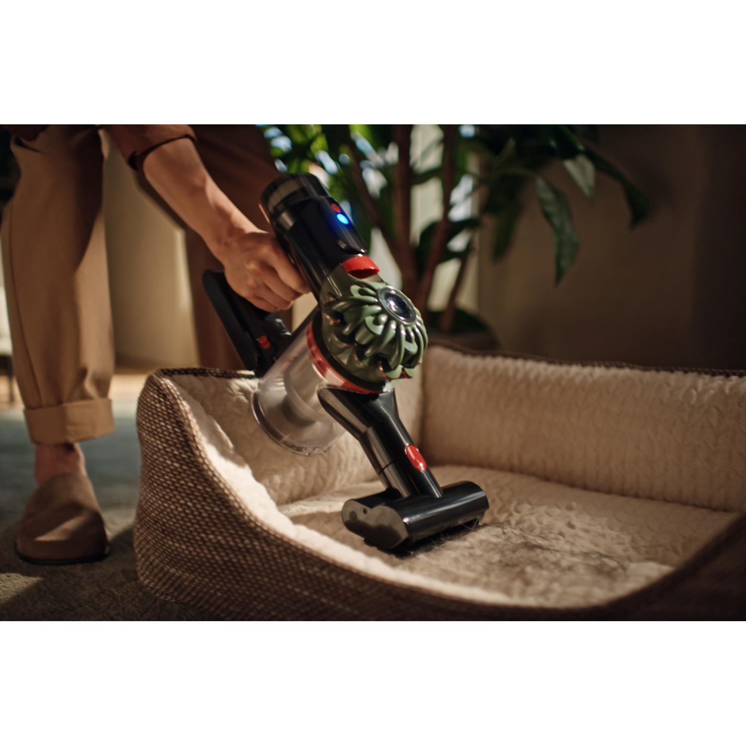 A person vacuums a dog bed with a black and red vacuum cleaner. The bed is brown and fluffy. Green plant in the background.