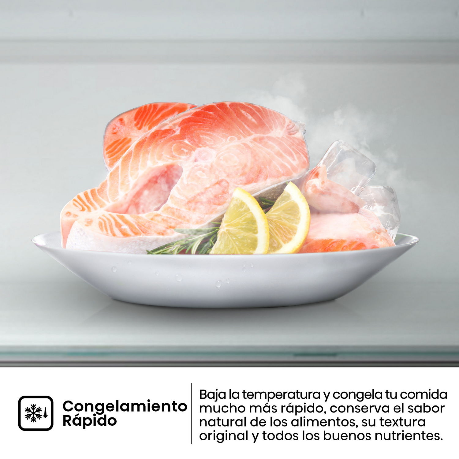 Rodajas de salmón crudo, gajos de limón y ramita de romero en un plato blanco. Cubitos de hielo al fondo. Texto: Congelación rápida.