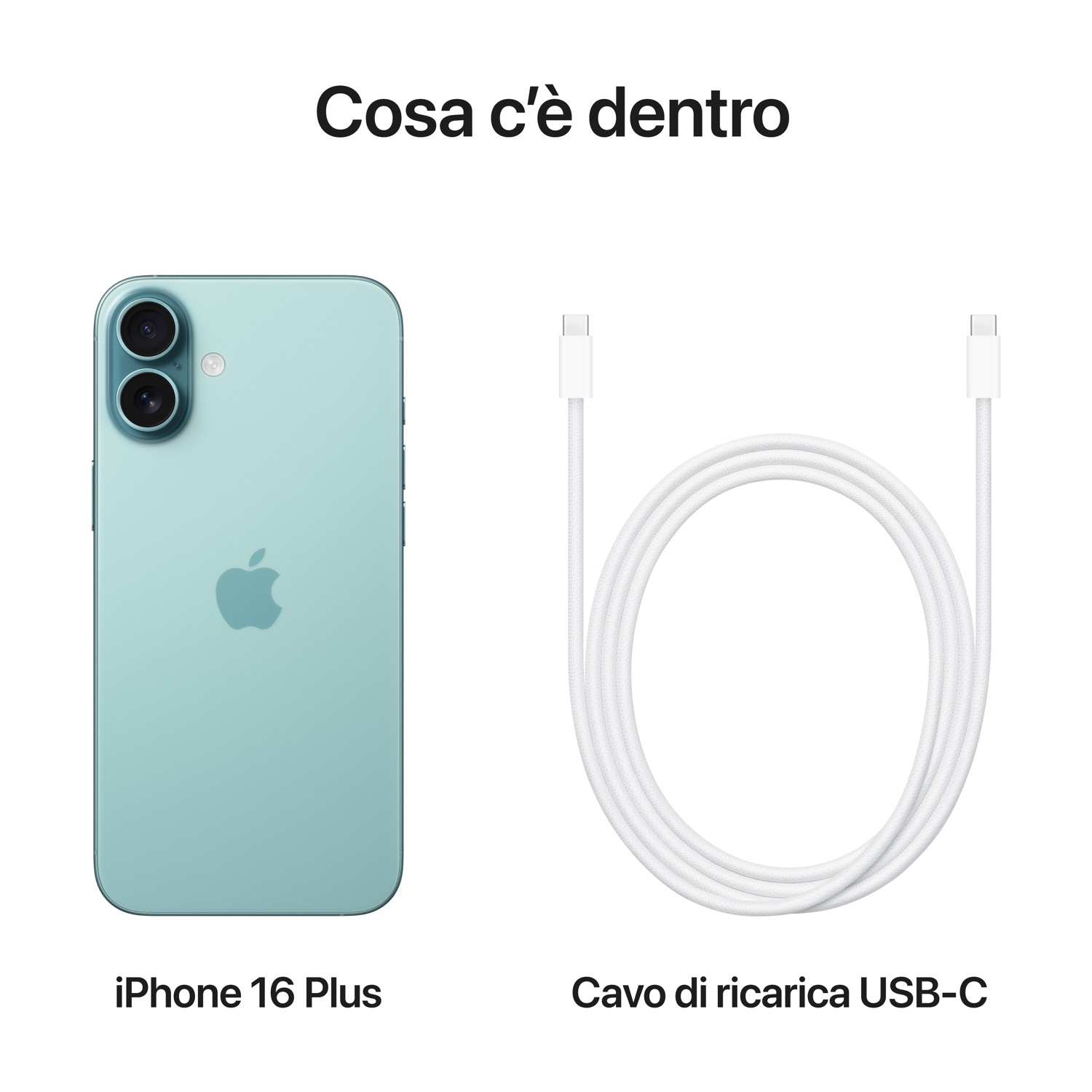 Un iPhone 16 Plus e un cavo di ricarica USB-C bianco sono visualizzati su sfondo bianco. Il telefono è azzurro.