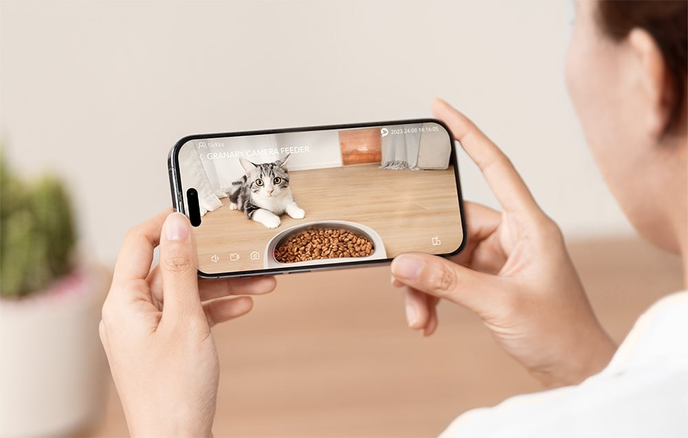Egy személy egy telefont tart, amelyen egy macska látható, étellel. A macska szürke és fehér. A telefon egy etetőt és az időt mutatja.
