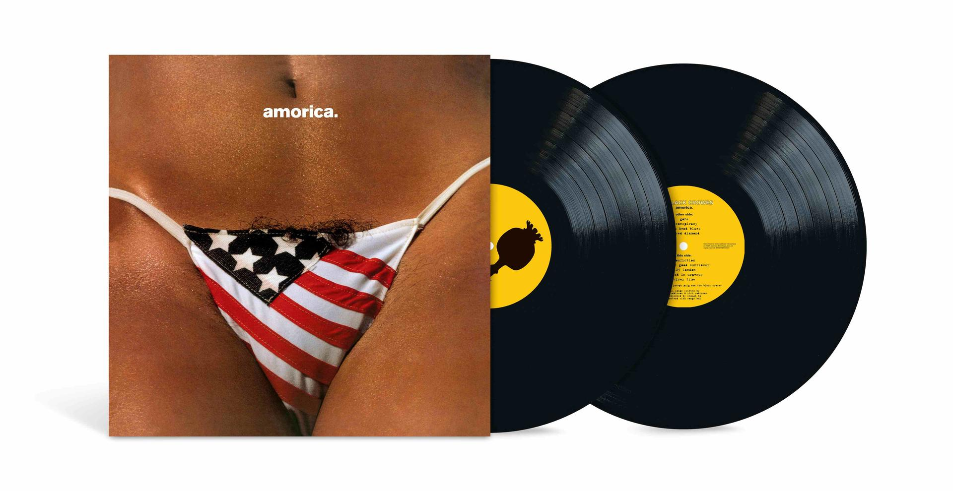 Schallplatten-Cover mit "amorica." und zwei schwarzen Schallplatten.