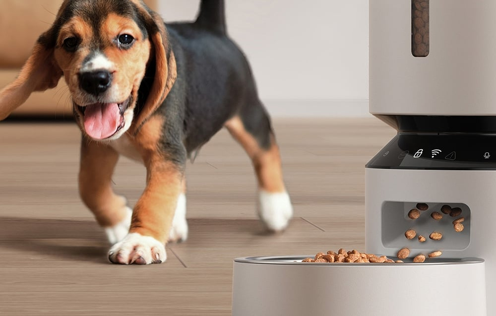 Egy beagle kölyökkutya egy tál étel felé fut. Jobbra egy automata ételadagoló található. Az étel a tálba adagolódik.