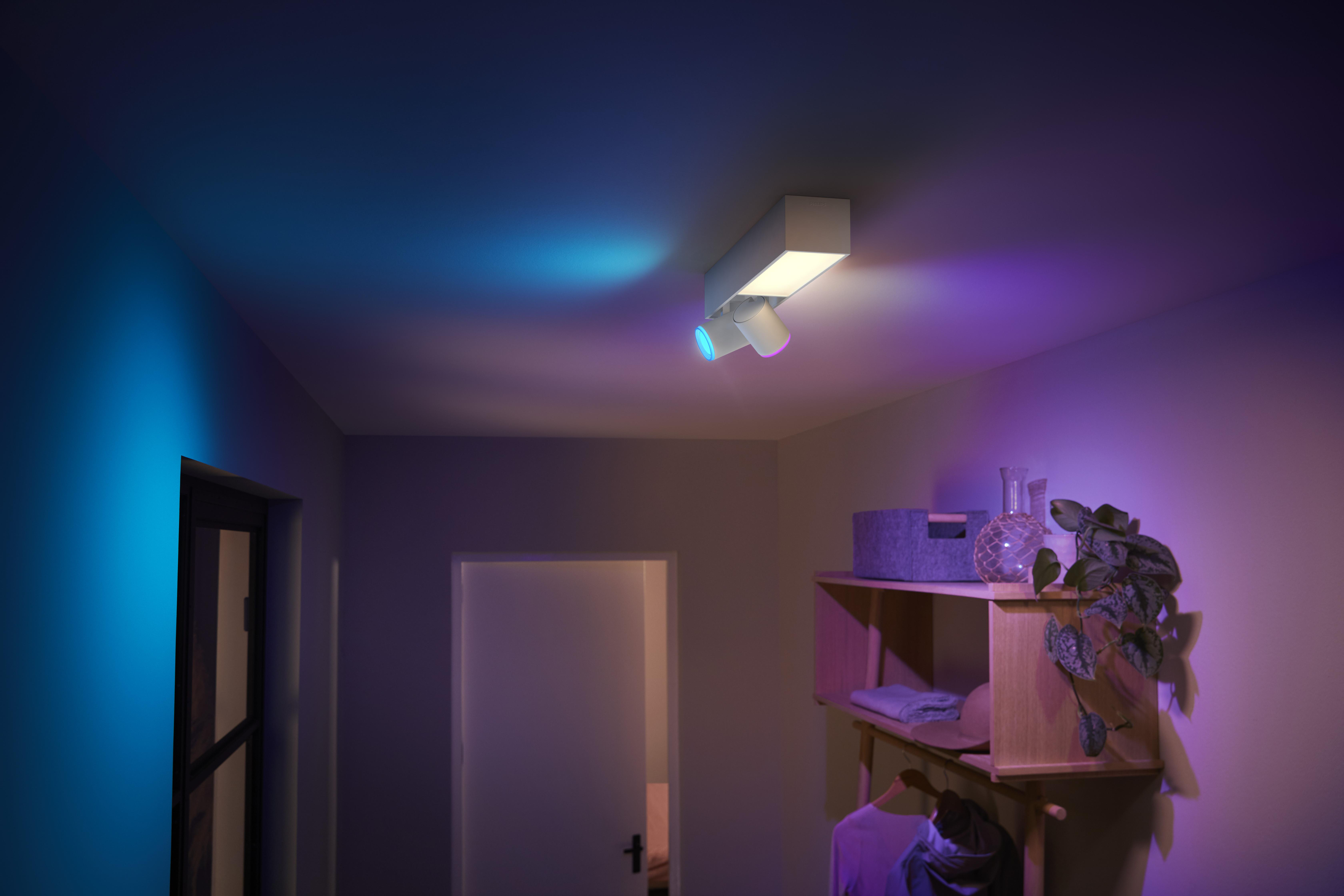 Ein Raum mit Deckenleuchte, Regalen, einer Tür und einer Pflanze. Das Licht ist blau und lila.