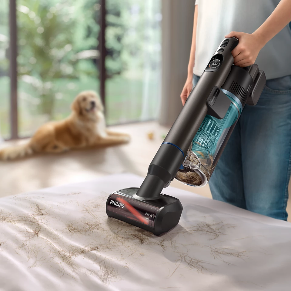 Egy személy egy Philips PetPro porszívóval porszívózza az állatszőrrel borított ágyat. A háttérben egy golden retriever kutya látható.