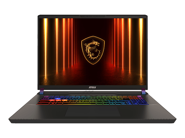 MSI Vector 17 HX AI A2XWJG-084CH, Gaming Notebook, mit Display, Intel® Core™ Ultra 9 Prozessor 275HX (36 MB Cache, bis zu 5.40 GHz), 32 GB RAM, 2 TB SSD, NVIDIA GeForce RTX™ 5090, Cosmos-Grau, Windows 11 Home