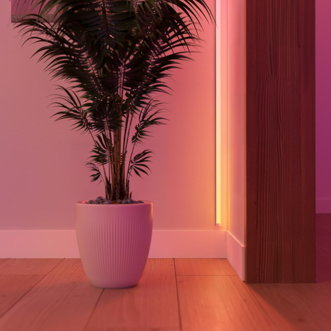 Eine Topfpalme in einem rosa beleuchteten Raum. Holzboden, weißer Topf und Wandverkleidung. Warmer Lichtstreifen an der Wand.