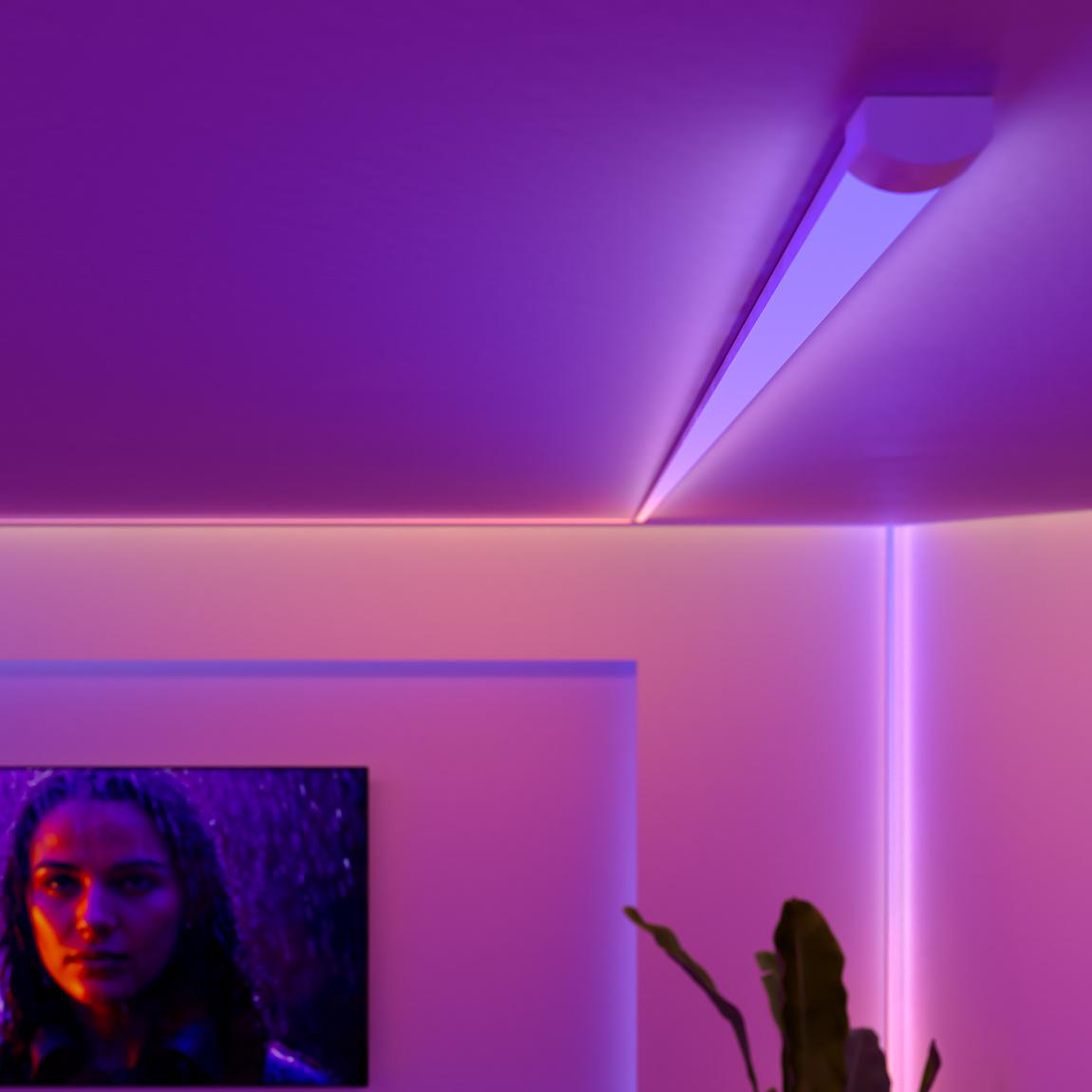 Ein Raum mit violettem Licht. Ein Fernseher zeigt eine Frau. Eine Pflanze ist rechts. Die Decke hat eine integrierte Leuchte.