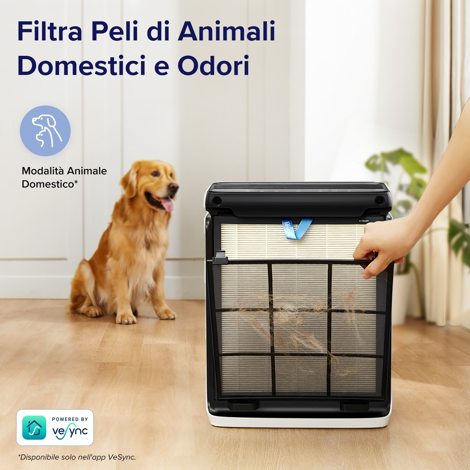 Un cane è seduto vicino a un purificatore d'aria. Una mano rimuove il filtro, mostrando peli di animali. Il testo promuove la filtrazione di peli e odori.