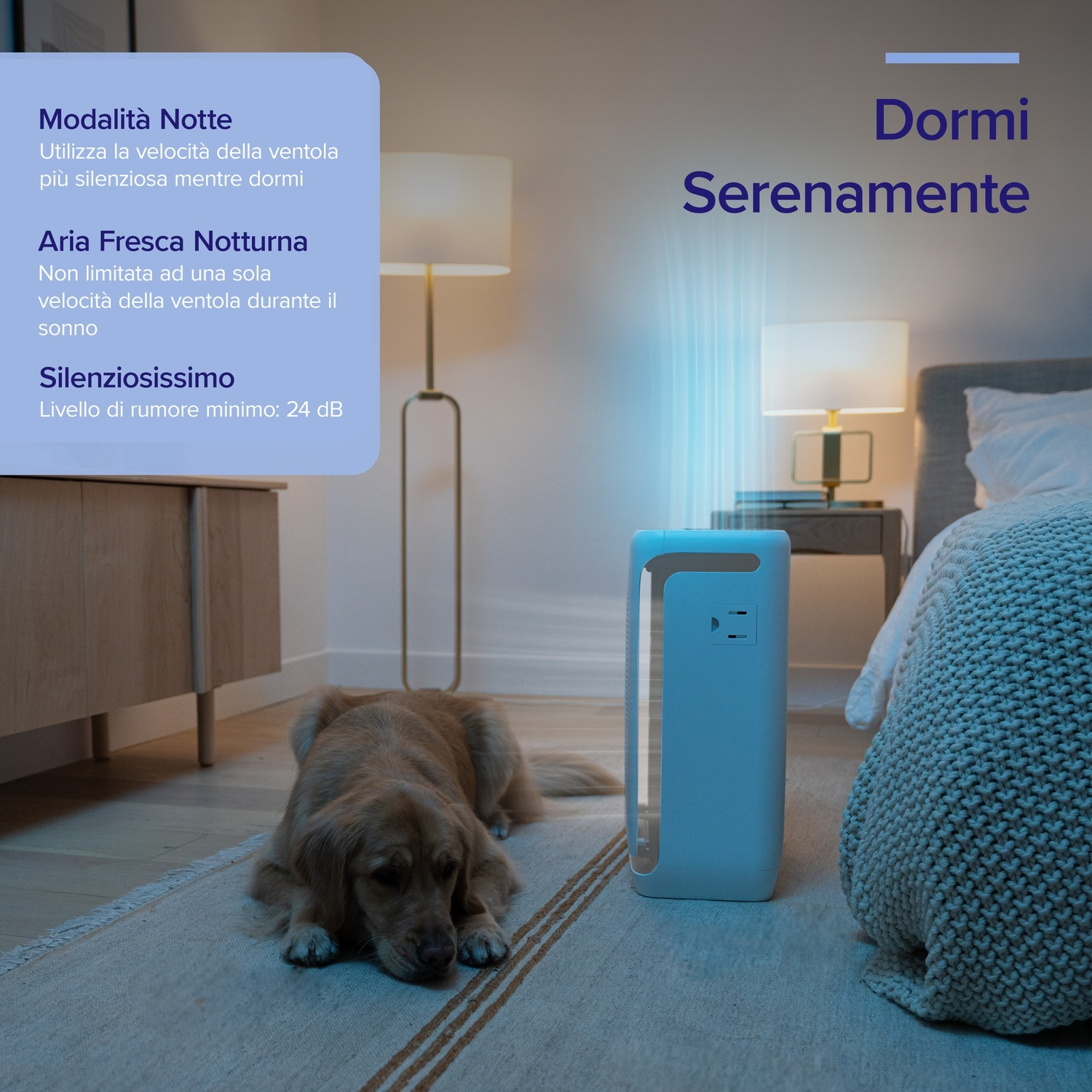 Scena di camera da letto con cane che dorme su tappeto, purificatore d'aria luminoso, testo sulle modalità notturne per un sonno sereno.