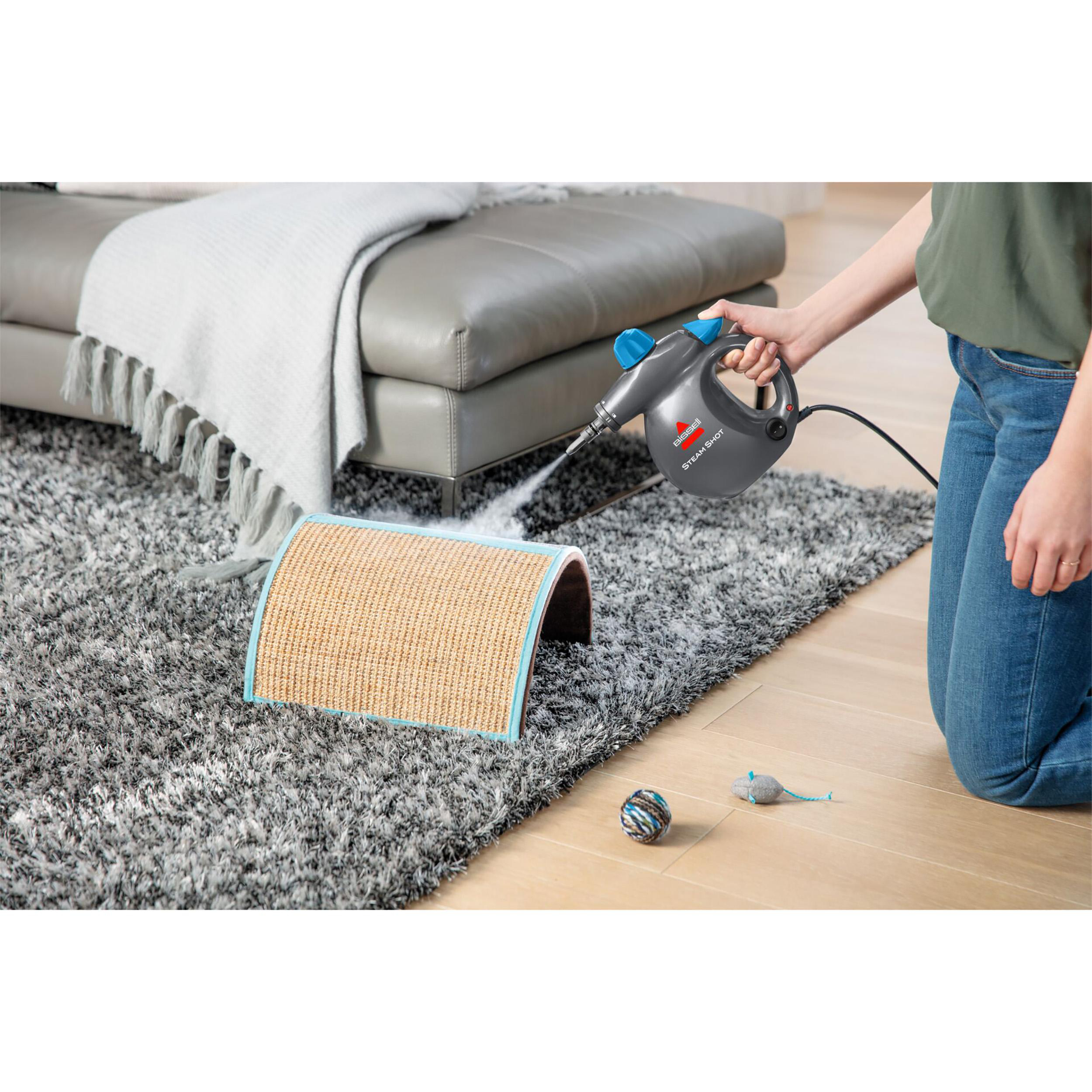 Eine Person kniet und dämpft einen Teppich. Auf dem Boden liegen ein Kratzbaum, eine Spielzeugmaus und ein Ball. Im Hintergrund ist eine Couch.