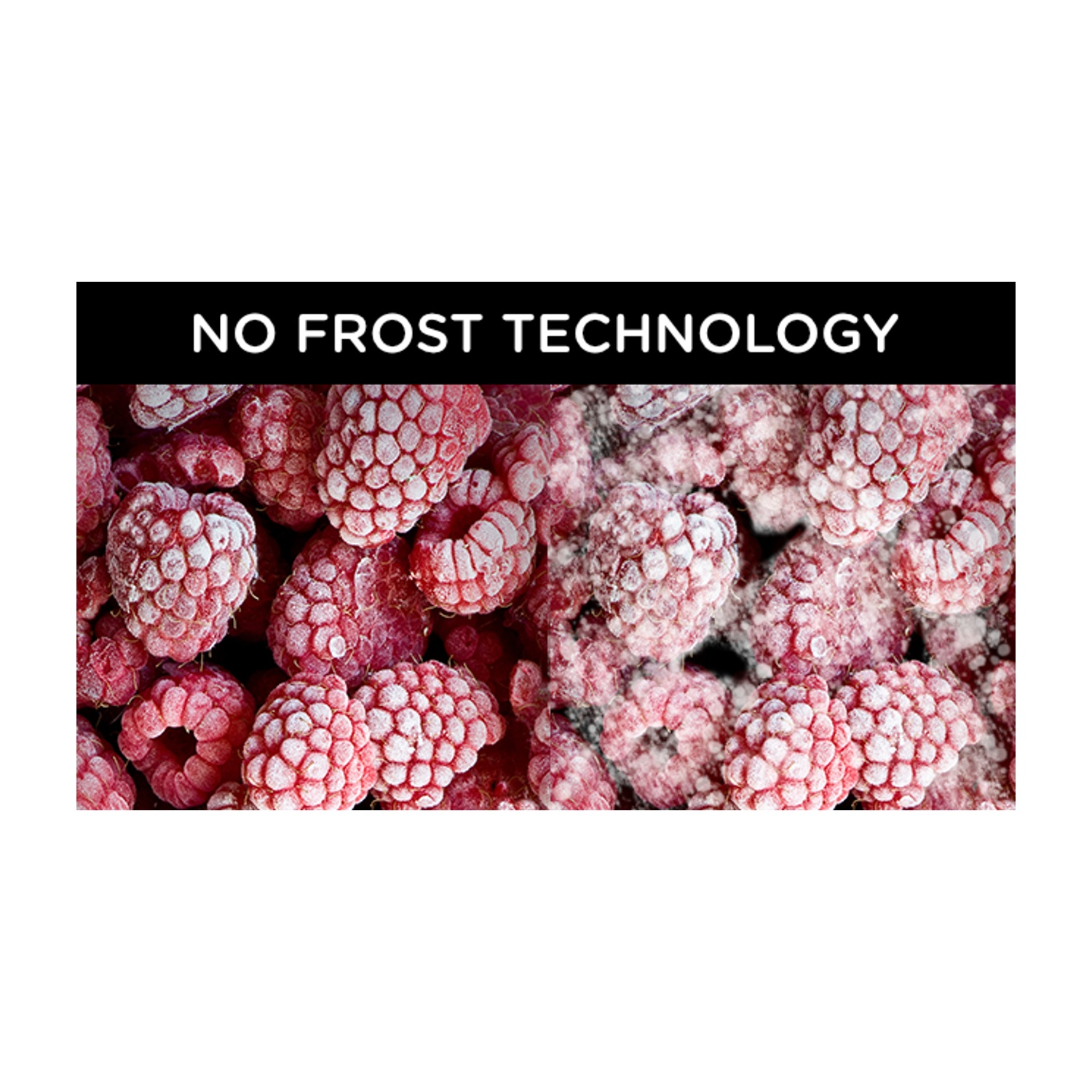 L'immagine mostra lamponi congelati. La parte superiore ha il testo 'NO FROST TECHNOLOGY'. I lamponi sono rossi con brina bianca.
