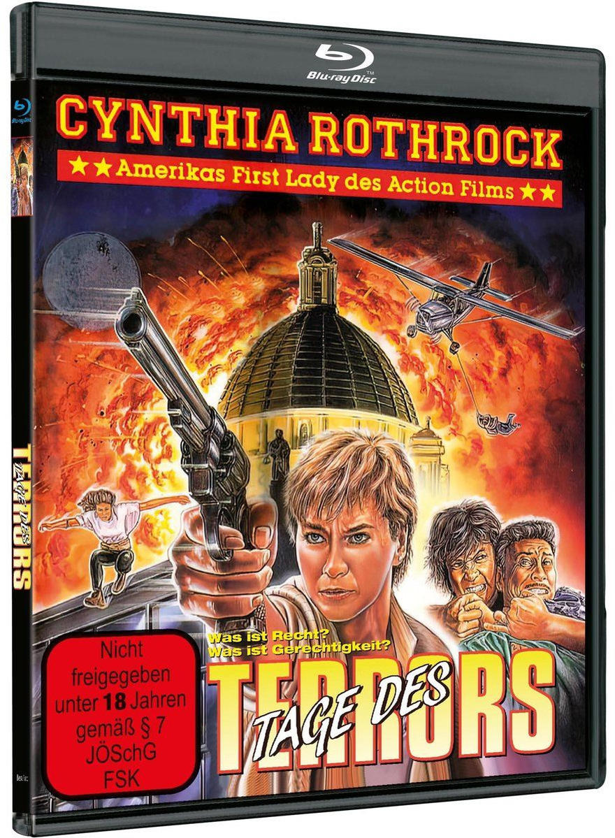 Actionfilm-Cover mit Cynthia Rothrock, Explosionen, Flugzeug und Kuppel.
