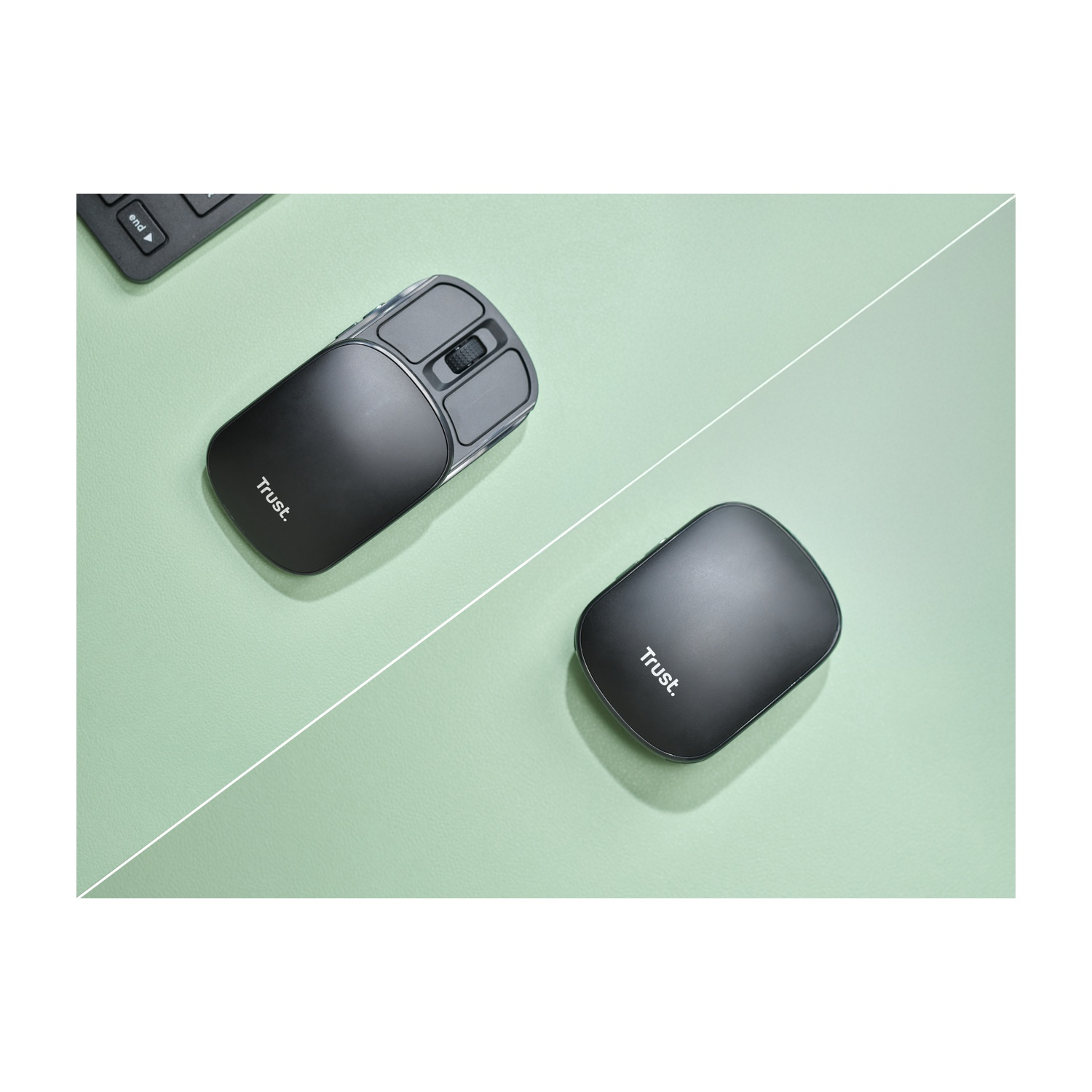 Due mouse per computer neri su una superficie verde chiaro. Uno ha pulsanti e rotella, l'altro è di forma solida.