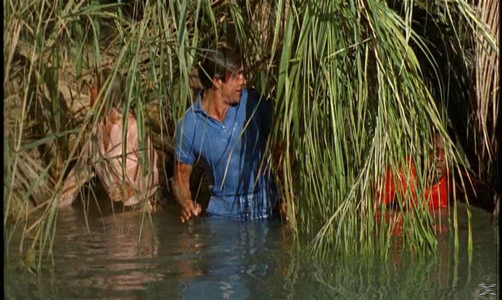 Ein Mann im blauen Hemd steht im Wasser, umgeben von hohem, grünem Gras. Zwei weitere Personen sind teilweise sichtbar.
