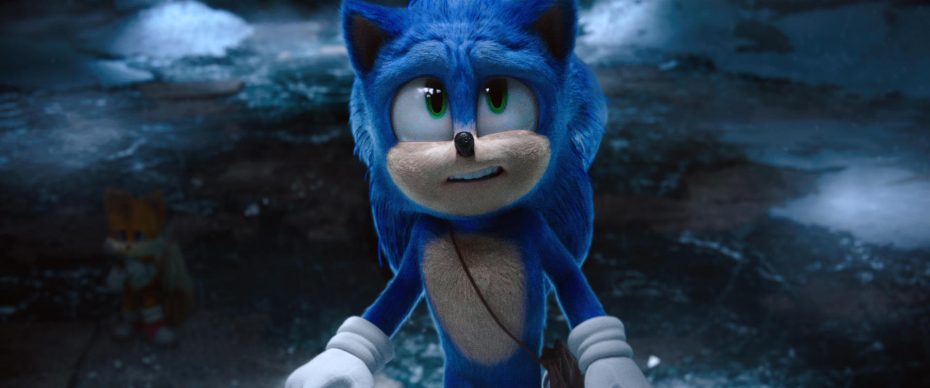 Sonic the Hedgehog sieht besorgt aus. Tails ist im Hintergrund. Die Szene spielt in einer verschneiten, eisigen Umgebung.