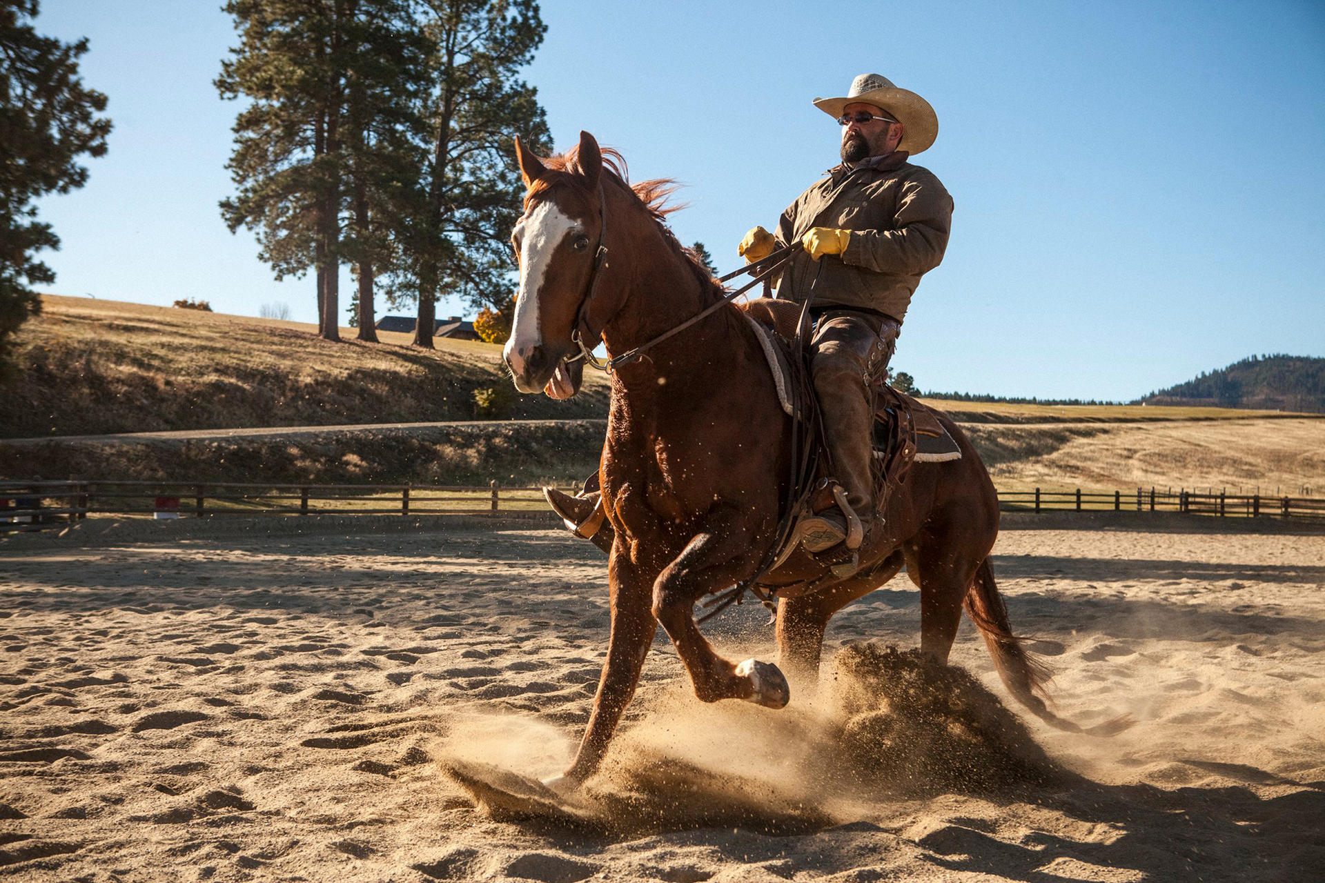 Ein Cowboy reitet ein braunes Pferd in einer sandigen Arena. Das Pferd wirft Sand auf. Im Hintergrund Bäume, Hügel und ein klarer blauer Himmel.
