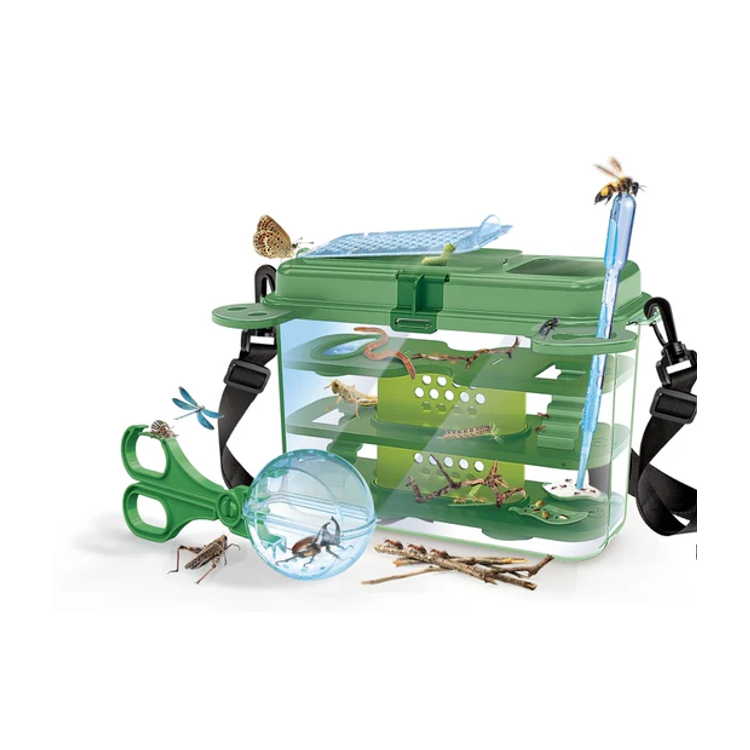 Raccoglitore di insetti verde con insetti dentro e intorno. Include una farfalla, un'ape, una libellula e altri insetti.