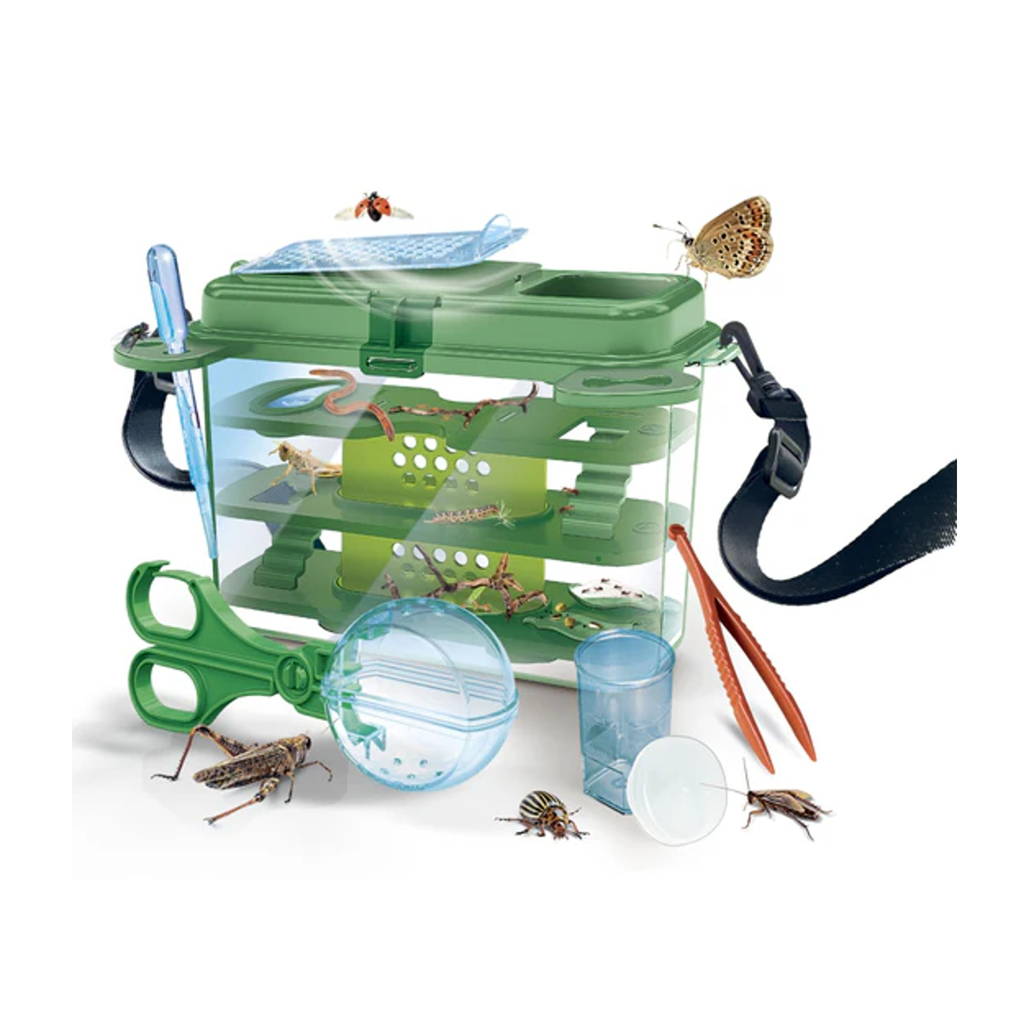 Un kit verde per catturare insetti con insetti e strumenti. Include una coccinella, una farfalla, una cavalletta e delle pinzette.