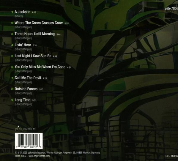 CD-Cover mit Titelliste und Yellowbird-Logo. Abstrakter grün-schwarzer Hintergrund. Albumtitel und Künstlerinformationen.