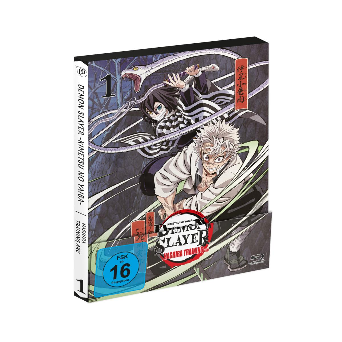 DVD-Cover von Demon Slayer. Zwei Anime-Charaktere mit Schwertern und eine Schlange. Enthält japanischen und deutschen Text.