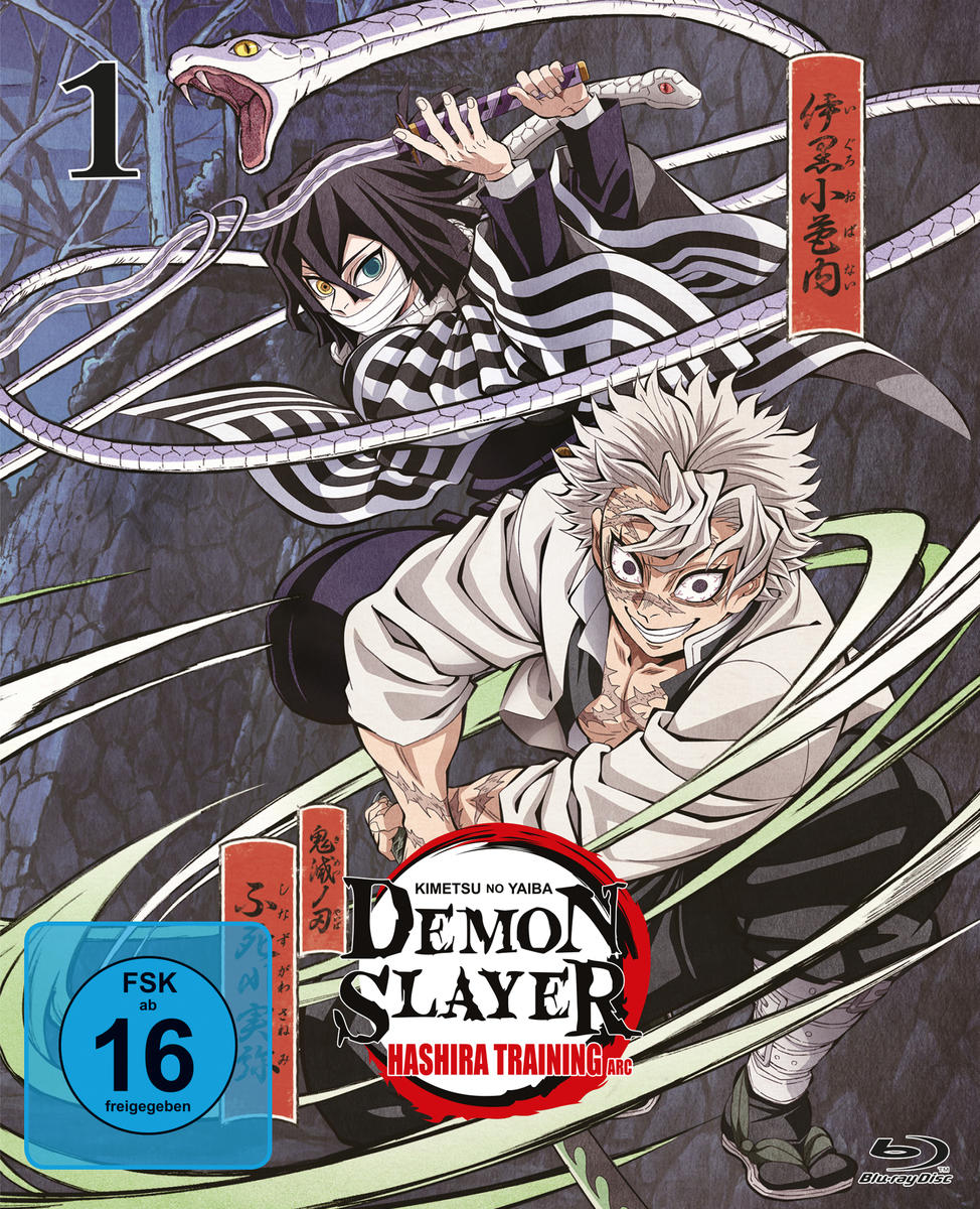 Anime-Cover mit zwei Charakteren, einer mit Schlange und Schwert, ein anderer lächelt. Text: Demon Slayer, Hashira Training Arc.