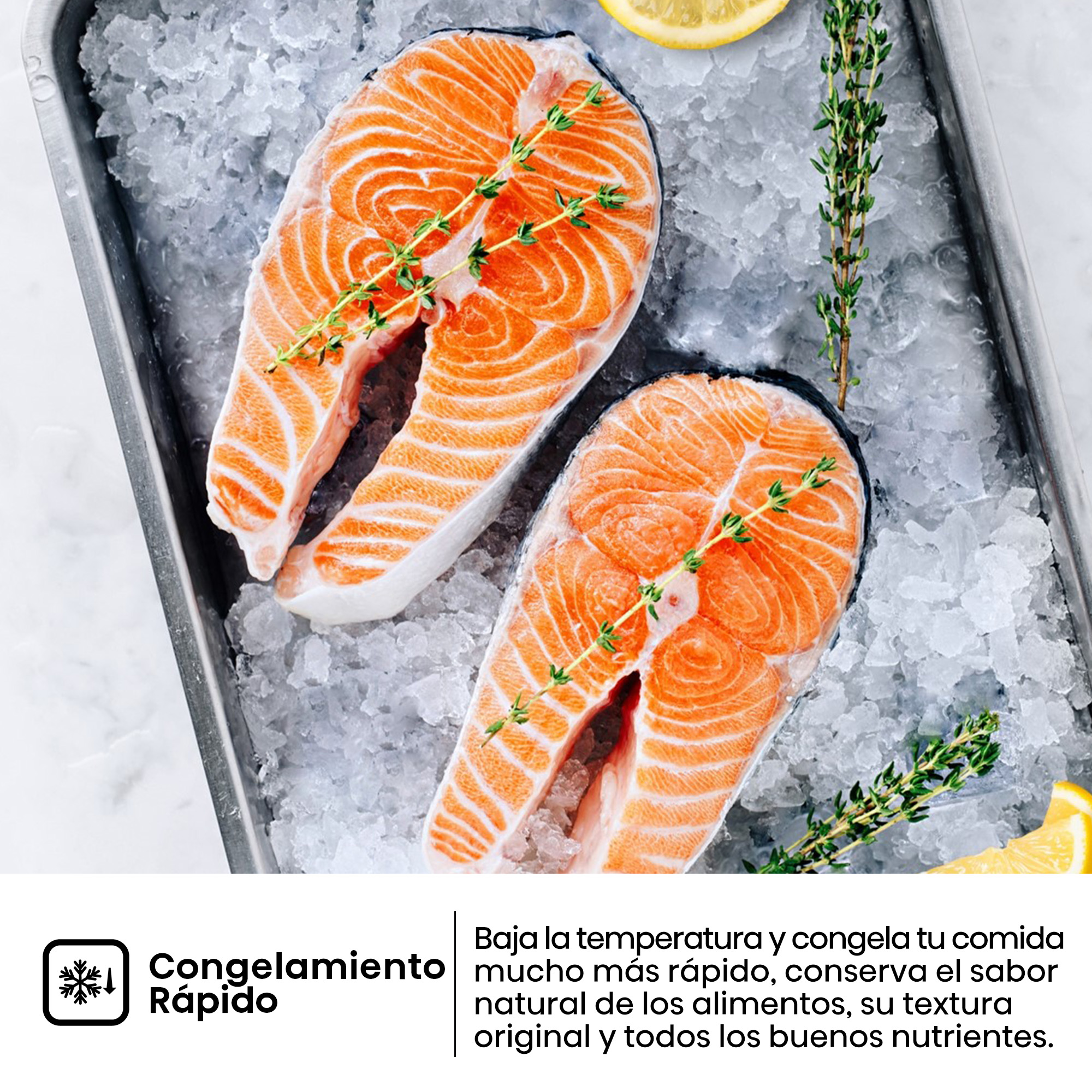Dos filetes de salmón sobre hielo, adornados con hierbas y rodajas de limón. Bandeja de acero, fondo blanco.