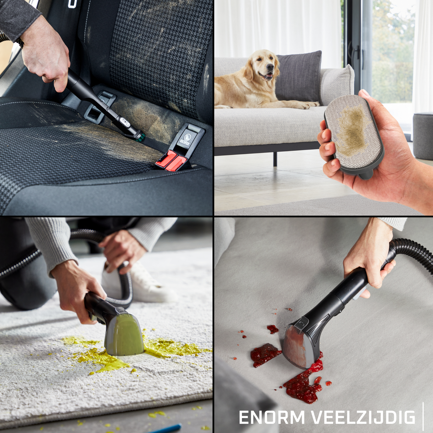 An image showing four scenarios: car seat cleaning, dog on sofa, cleaning carpet, and removing stains from sofa.