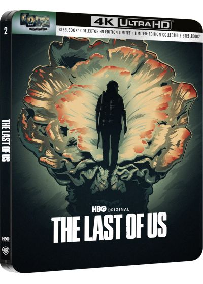 Couverture Blu-ray de The Last of Us. Une silhouette se tient devant une grande structure en forme de champignon. Titre en bas : The Last of Us.