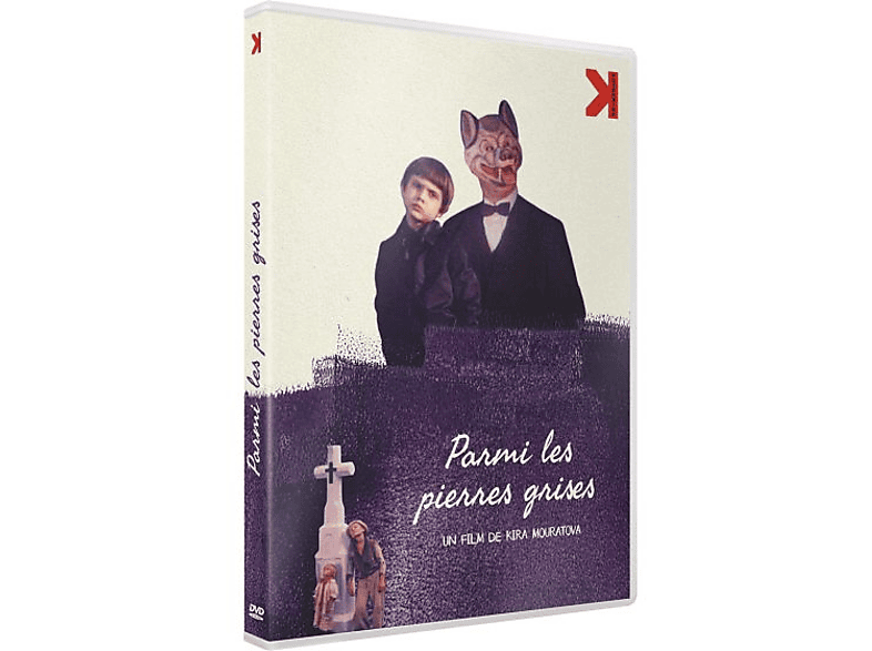 Parmi les pierres grises (DVD)