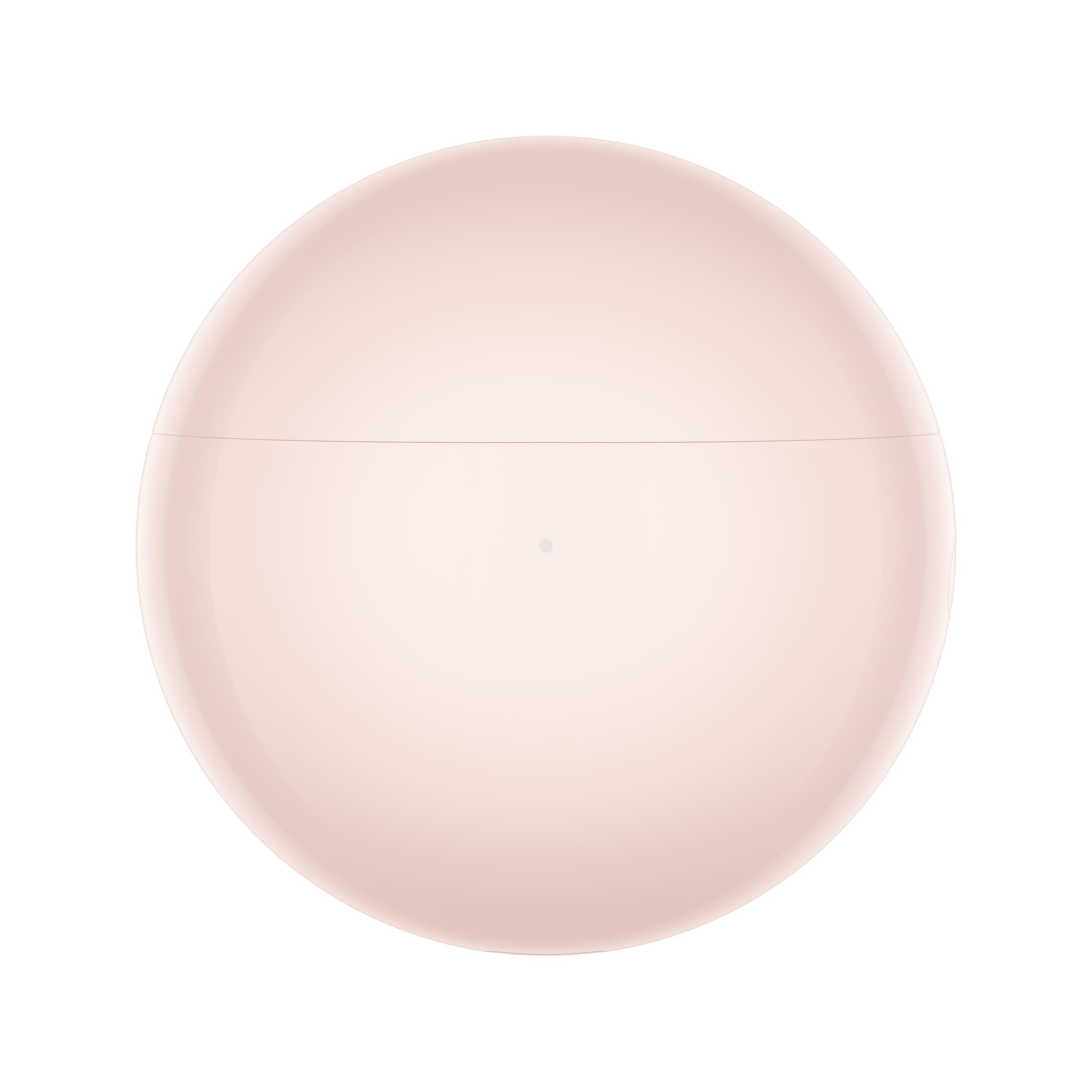 Ein hellrosa, kugelförmiges Objekt, möglicherweise ein Gehäuse. Es hat eine horizontale Linie und einen kleinen Punkt auf der Oberfläche, auf weißem Hintergrund.