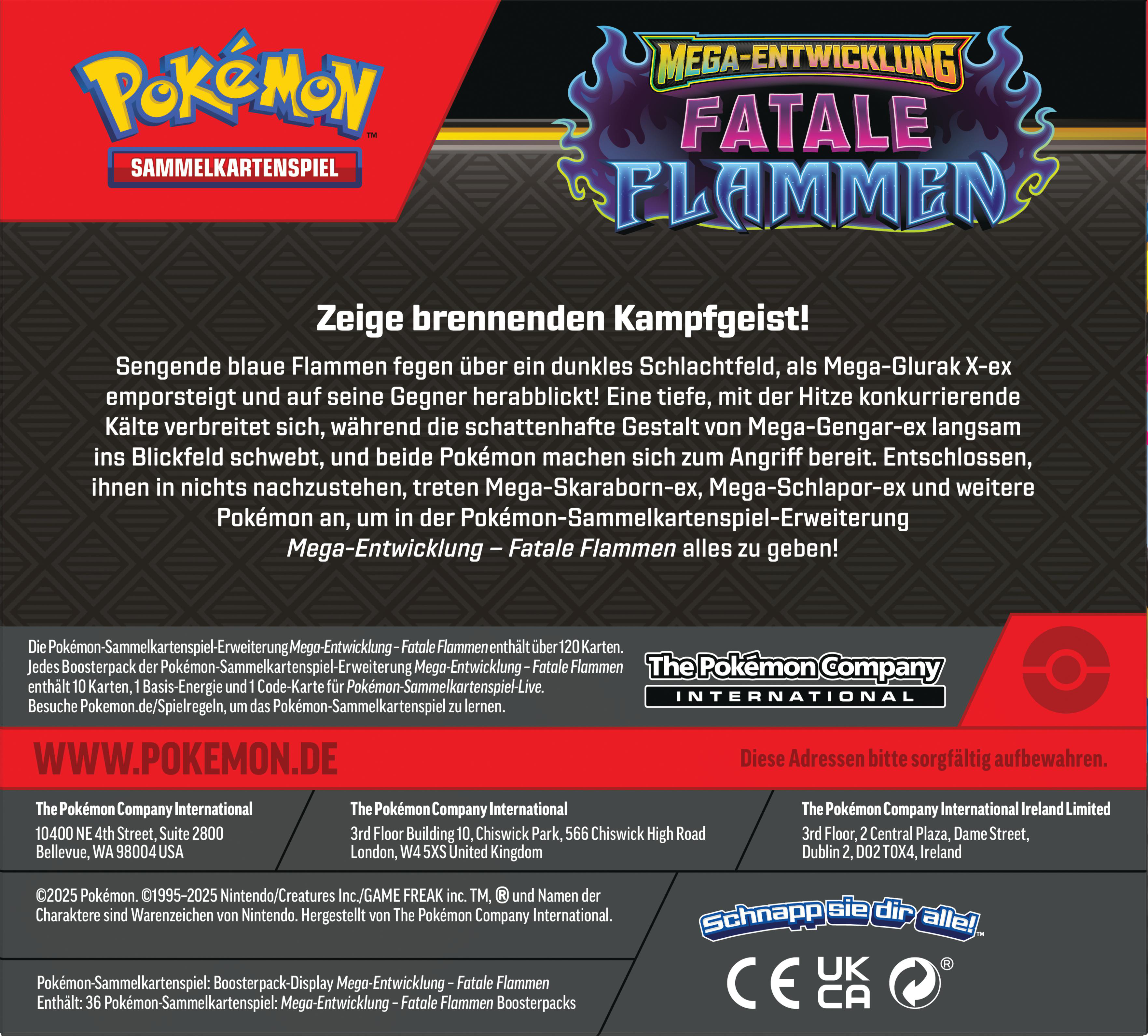 Karton mit Pokemon-Logo und Text. Es zeigt auch Flammen und einen Slogan.