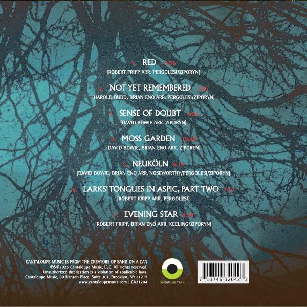 Albumcover mit Text, der Songtitel und Künstlergutschriften vor einem teal- und braunen Hintergrund auflistet. Baumäste überlagern.