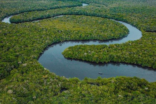 Luftaufnahme eines sich durch einen üppigen grünen Wald schlängelnden Flusses. Ein kleines Boot ist auf dem Wasser zu sehen.