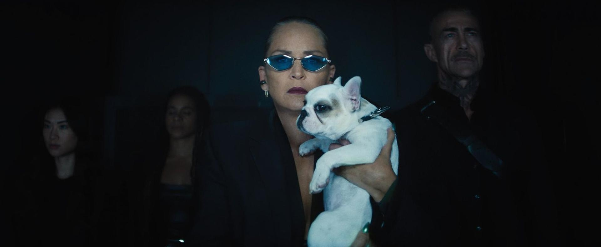 Eine Frau mit Sonnenbrille hält einen weißen Hund. Zwei weitere Personen im dunklen Hintergrund.
