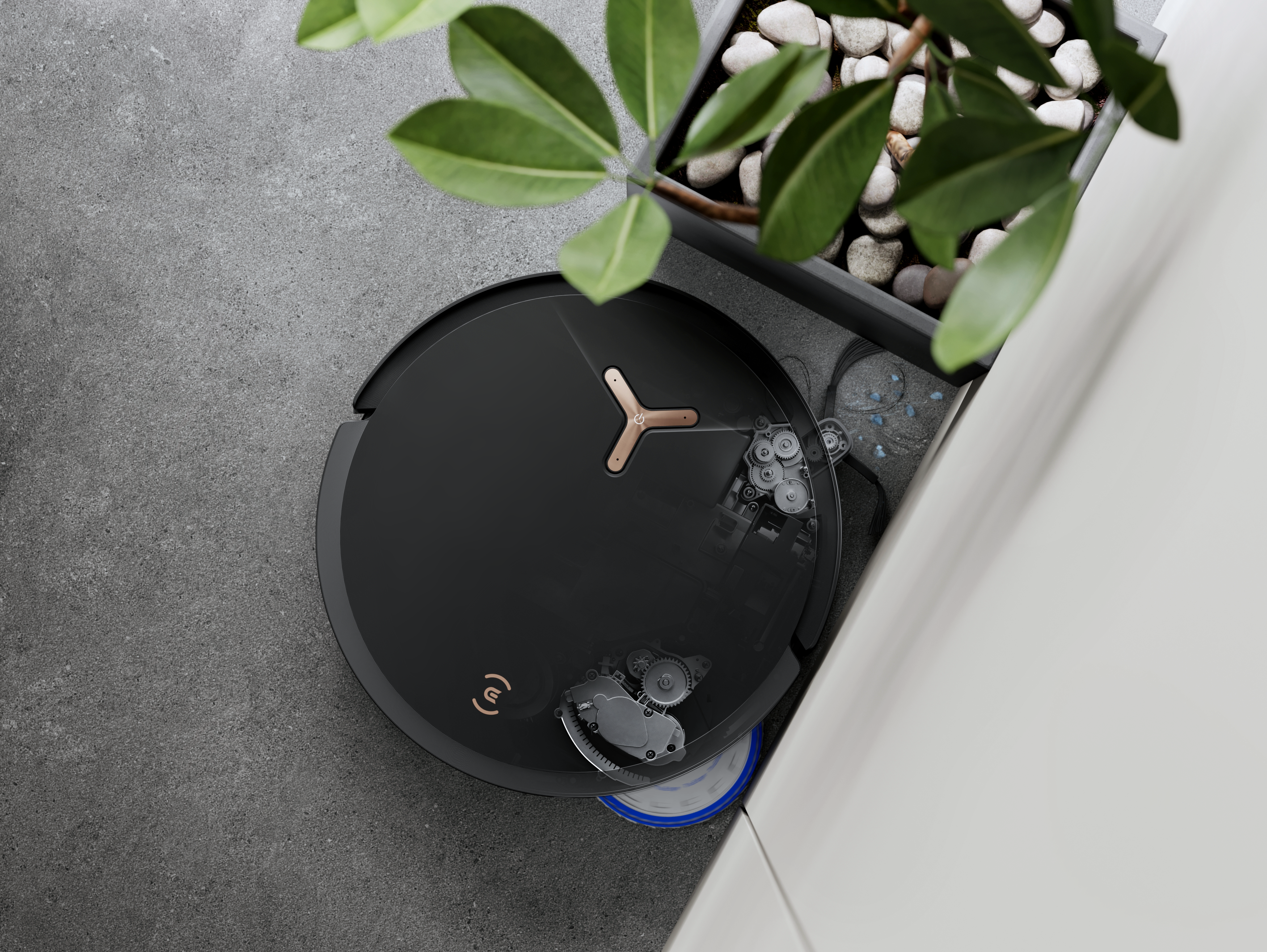 Czarny odkurzacz robot na szarej podłodze, obok rośliny w doniczce. Widoczne koła zębate.