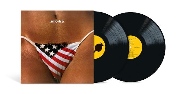 Albumcover mit Unterwäsche im US-Flaggen-Design und zwei schwarzen Schallplatten.