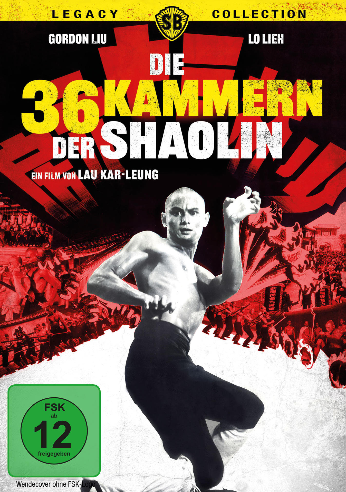 Filmposter. Ein kahler Mann in Kampfsportpose, mit Kampfszene im Hintergrund und Filmtitel in Gelb.