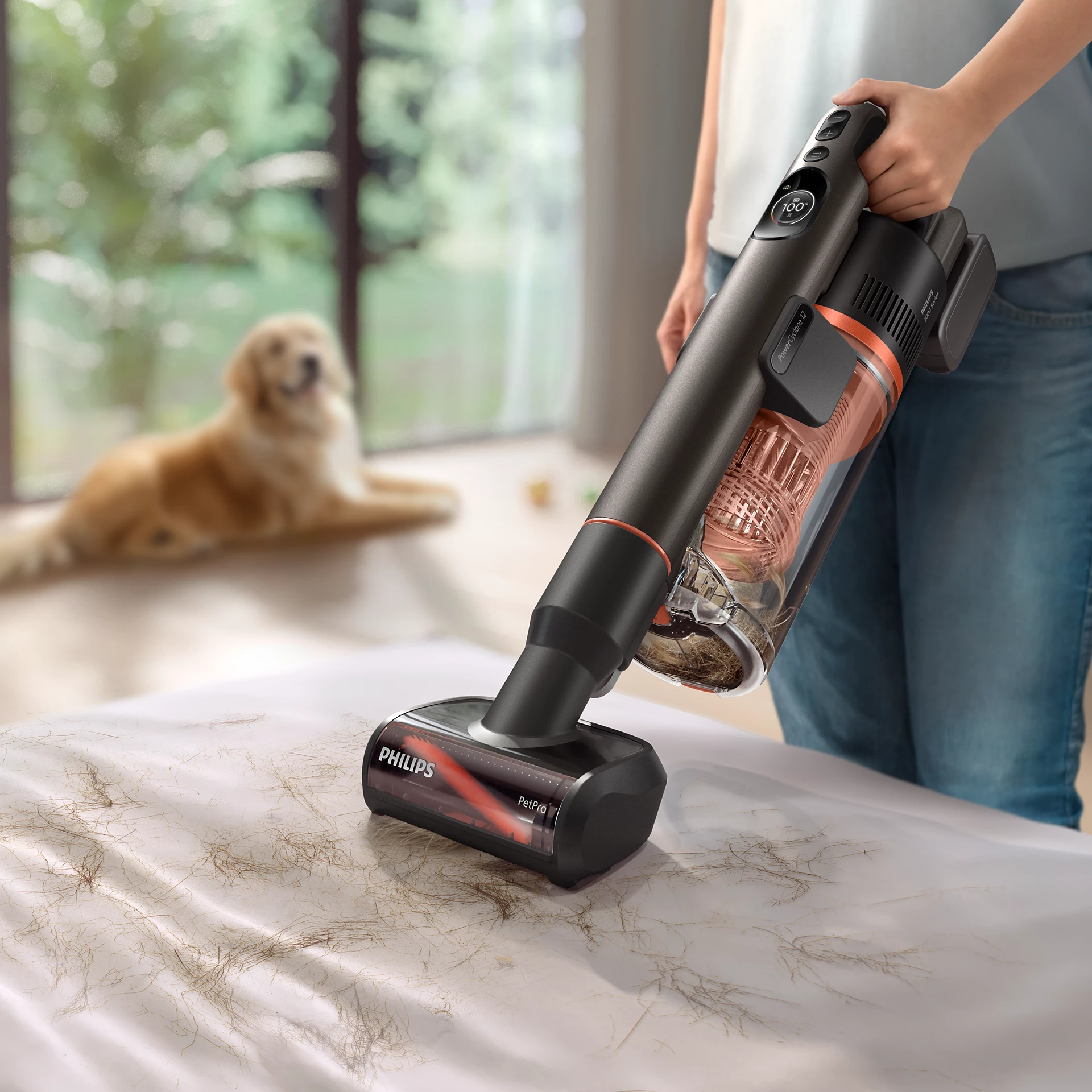Eine Person saugt eine weiße Oberfläche mit Tierhaaren mit einem schwarz-orangen Philips-Staubsauger. Im Hintergrund liegt ein Hund.