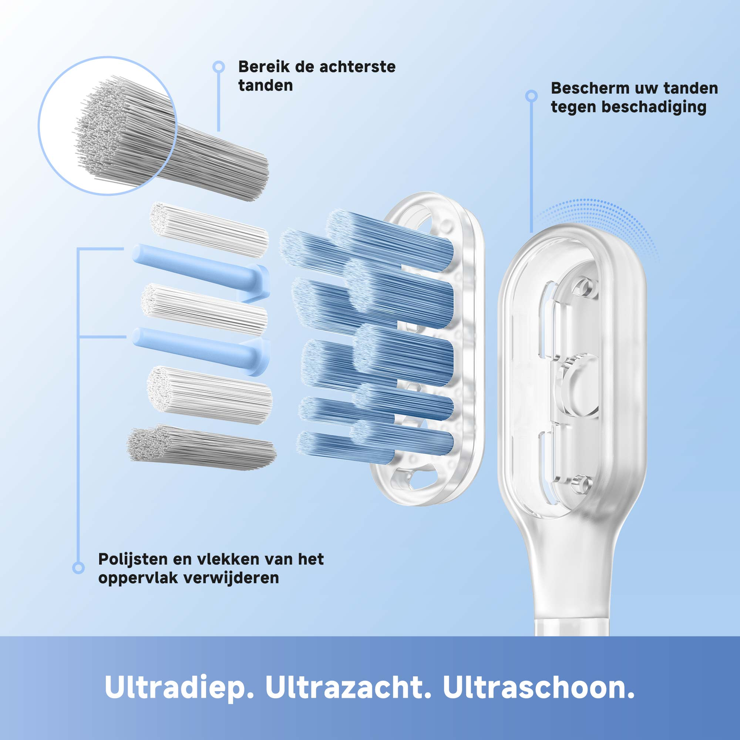 Diagram of a toothbrush head, showing bristles and features. Text highlights deep cleaning, gentle care, and stain removal for teeth.
