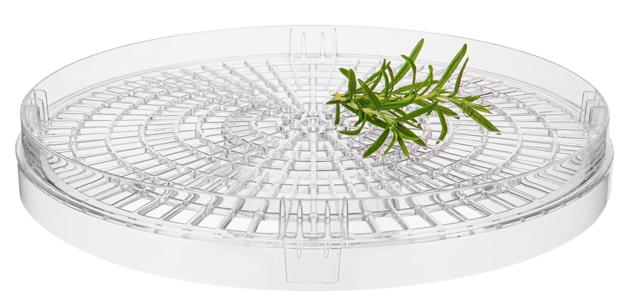 Przezroczysta, okrągła taca do suszarki do żywności z gałązką zielonego rozmarynu. Taca jest pusta, gotowa do użycia.
